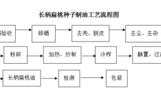 核桃怎么榨油