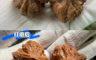 新核桃怎么打底