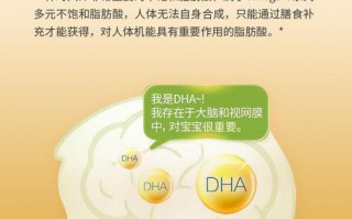 核桃油dha真的有提高记忆力吗