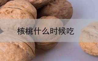 每天吃三个核桃会胖吗