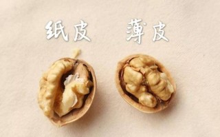 核桃皮厚度